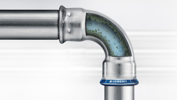 Biofilm in the drinking water system Biofilm in the drinking water system