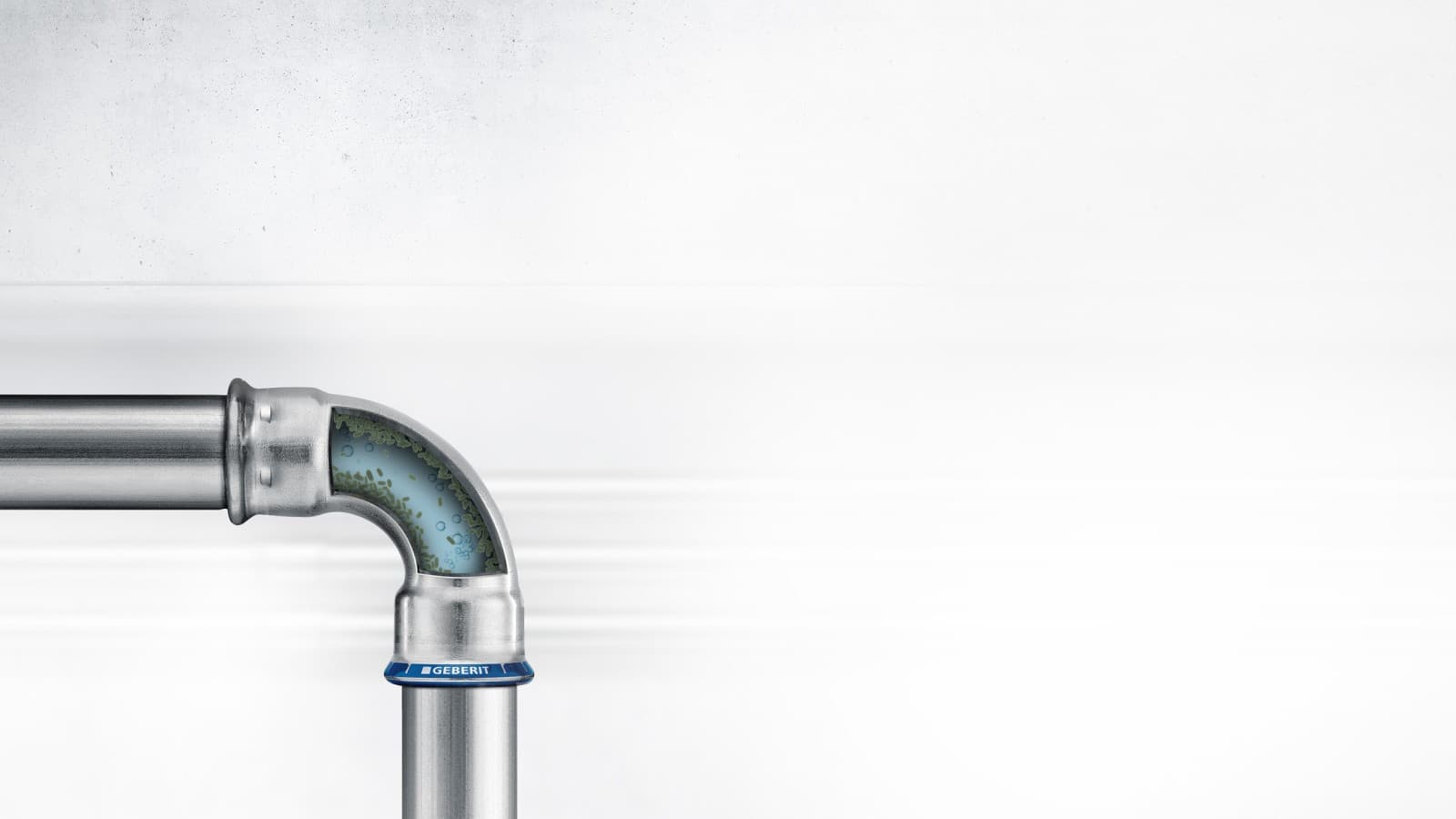 Biofilm in the drinking water system Biofilm in the drinking water system